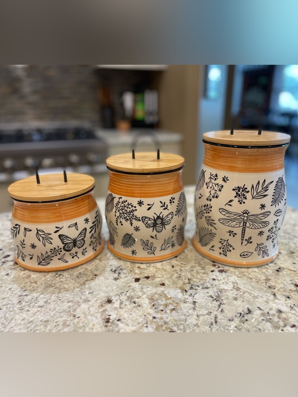 Whimsical Bee, Dragonfly and Butterfly Canister Set of 3 with Bamboo lids